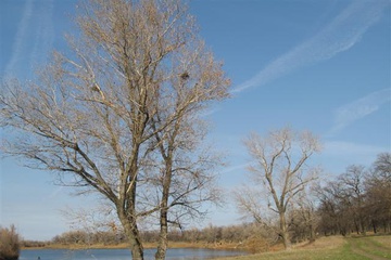 izobrazhenie_052_small.jpg