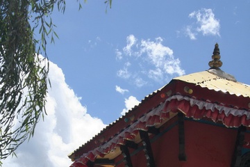 IMG_0770.jpg