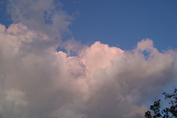 DSC08465.JPG