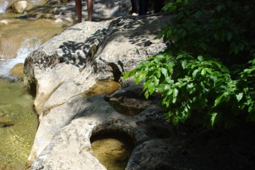 DSC07581.jpg