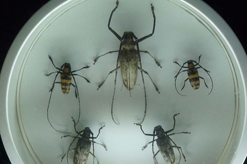 P1000231.JPG
