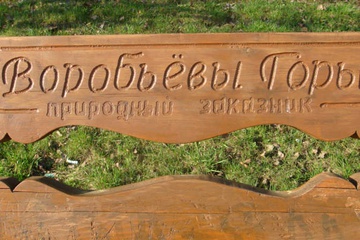 Горы Воробъевские
