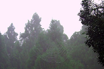PICT0033.JPG