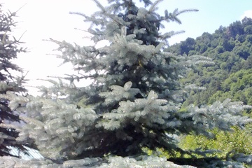 20072010033a.jpg