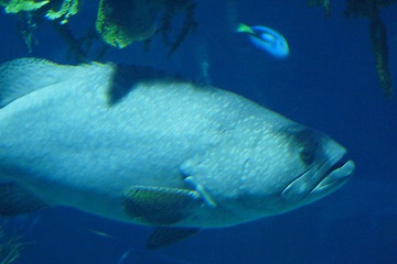 P1000374.JPG